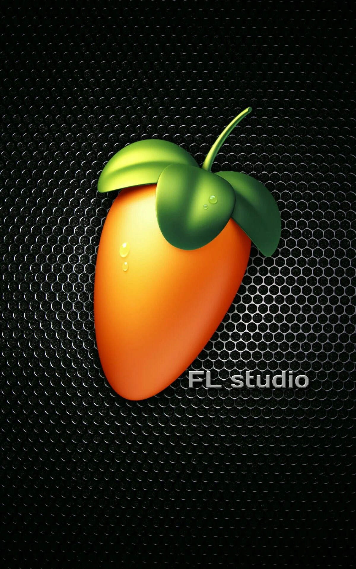 FL Studio 25.1.4.495 Producer Edition